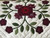 Windblown Rose Applique Amish Quilt 116x113