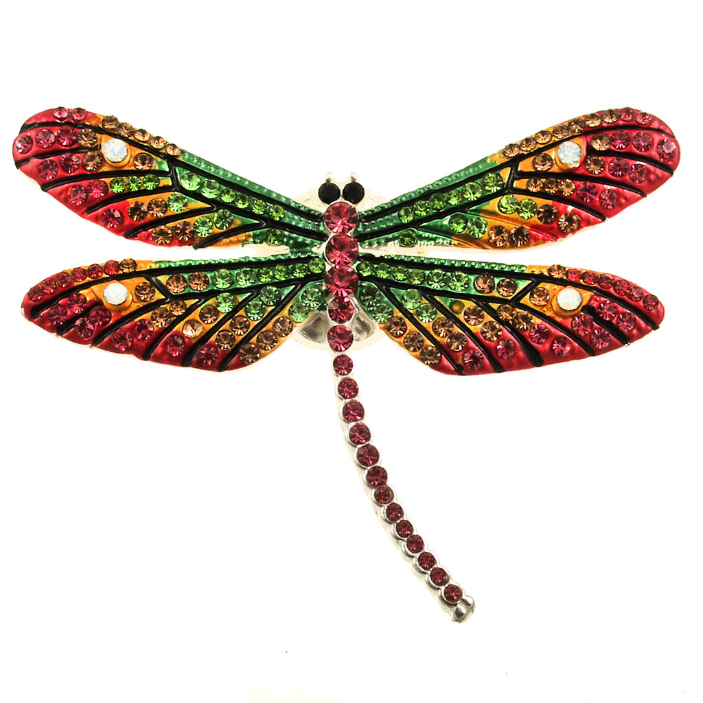 2451-1 - MAGNETIC DRAGONFLY BROOCH - MULTI COMBINATION