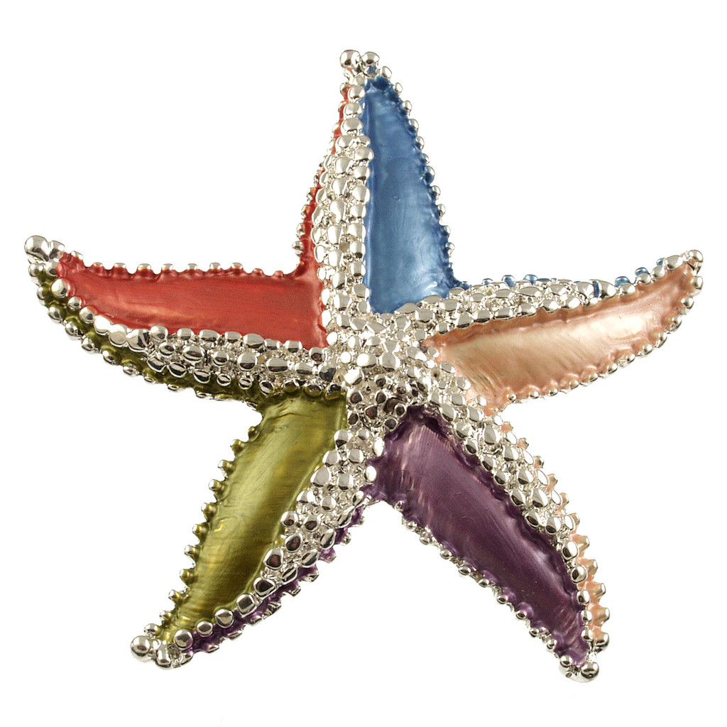 855-4 - MAGNETIC STARFISH BROOCH - MULTI COMBINATION