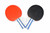 Professional Table Tennis Paddles Set - 075-8001