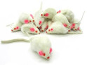 pile of real rabbit fur white mice cat toys