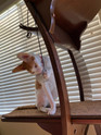 customer photo of a orange and white kitten playing with a natural Bouncy Ball Real Rabbit Fur Handmade String Cat Toy attached to a cat tree