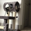 customer photo of a striped gray kitten playing with a natural Bouncy Ball Real Rabbit Fur Handmade String Cat Toy on a cat tree