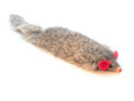 real rabbit fur Dat Darn Ferret cat toy