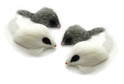 4pk long hair mouse gray and white