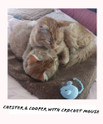 chester and cooper with crochet mouse