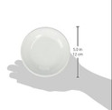 Cat Saucer Size
