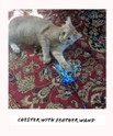 chester with feather wand