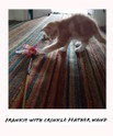 frankie with feather crinkle wand
