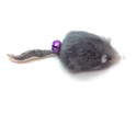 gray mouse refill