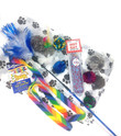 Cat Toy Kit all in one