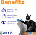 black cat with bow tie playing with a standard blue Rabbit Fur pom ball cat toy listing benefits, enhances natural instincts and perfect for indoor play