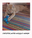 chester with wiggle worm