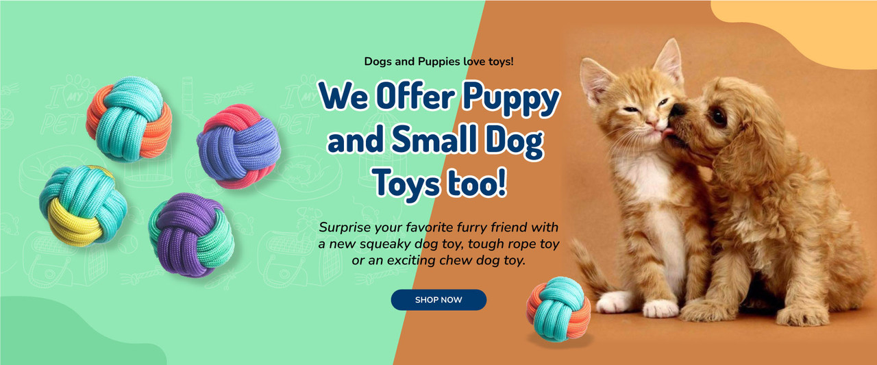 Shop cat toys and essentials for healthy and happy cats