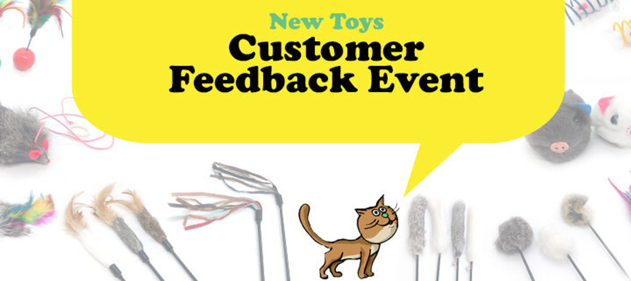 Cat Toy Ideas
