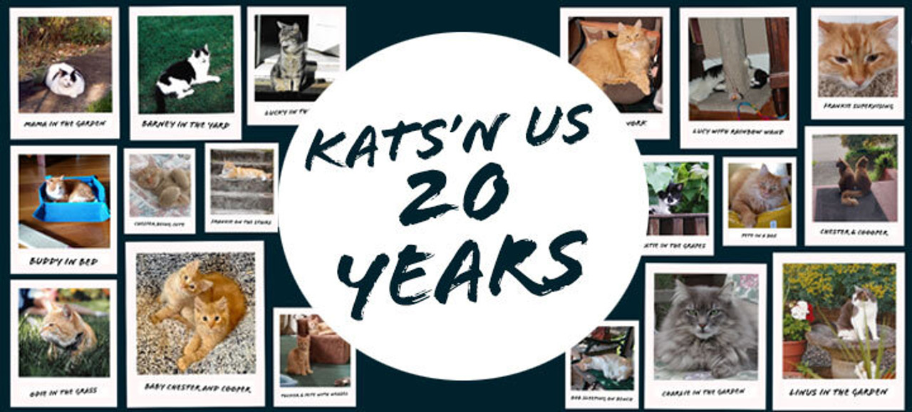 20 Years