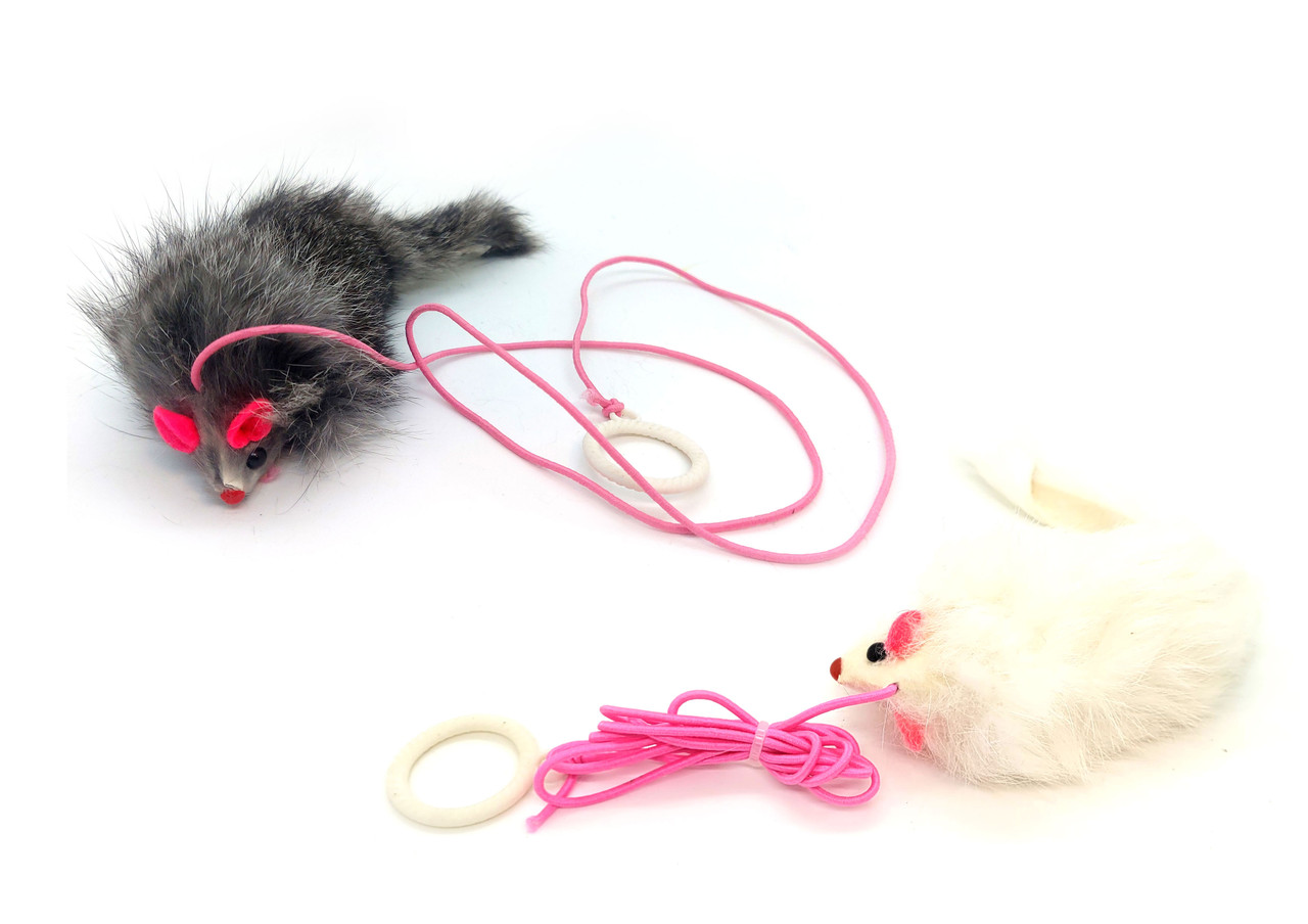 もふもふです Shake'N Squeak Mouse | Interactive Cat Toy Fun | Cats 'n Us
