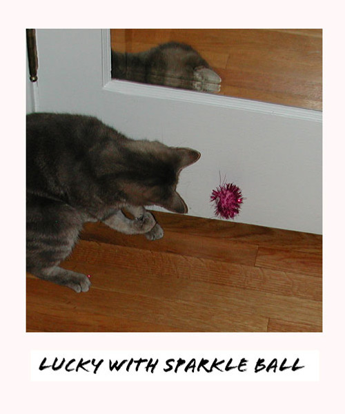 lucky with sparkle ball