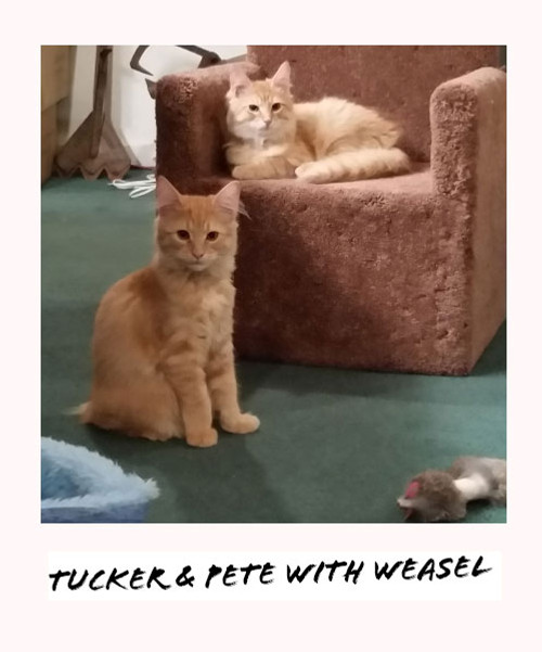 tucker and pete with weasel