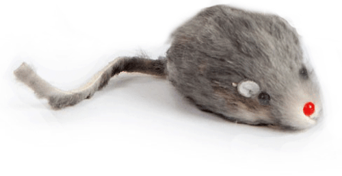 Real Rabbit Fur Mouse Cat Toy