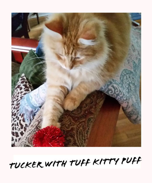 tucker with jumbo red sparkle ball