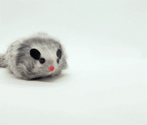 Pull Back Mouse Cat Toy