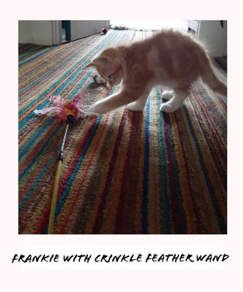frankie with feather crinkle wand