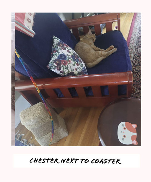 chester next to coaster