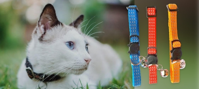 Cat Collar, Harnesses & Leashes logo