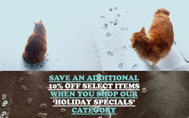 HOLIDAY SPECIALS logo