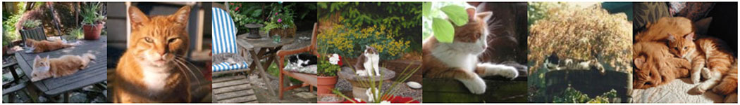 Kats’n Us Blog