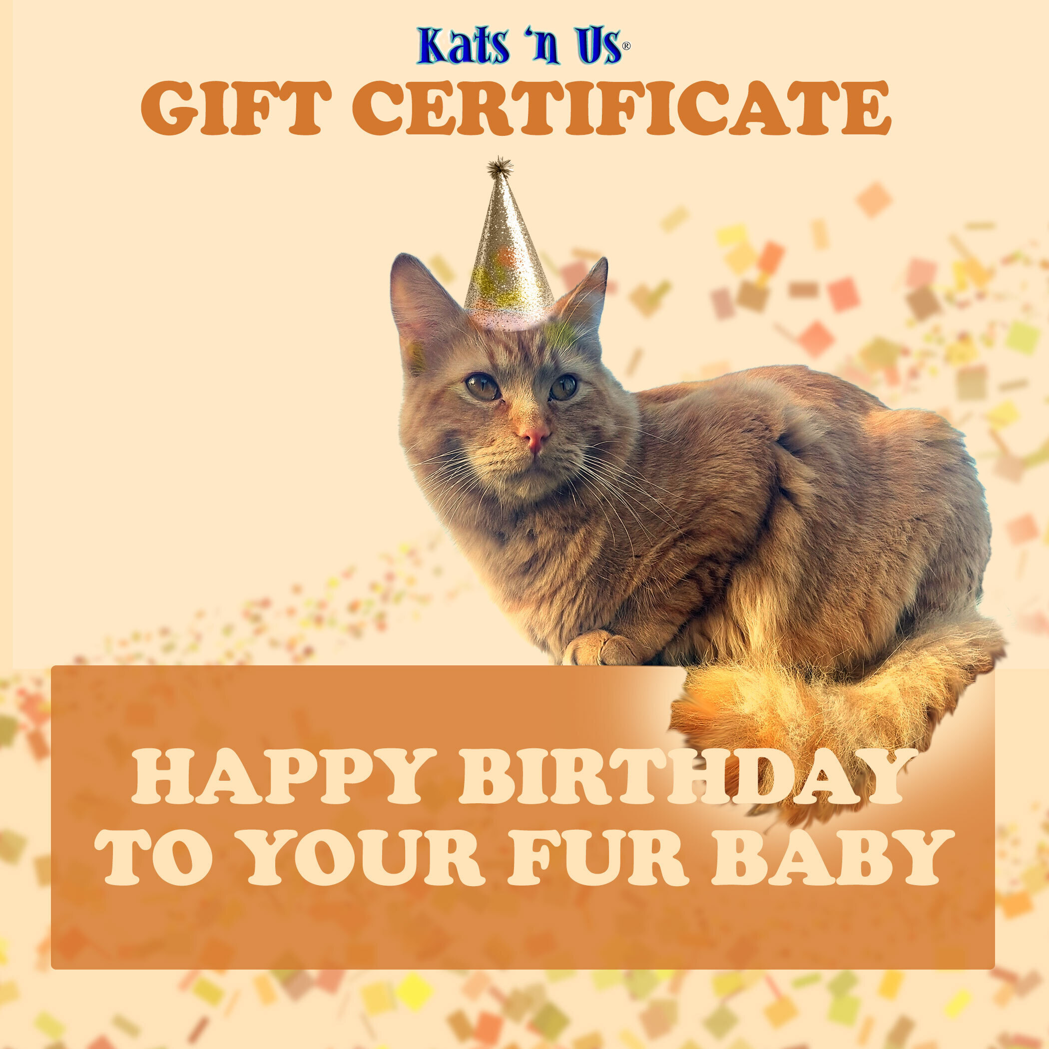 Cat Birthday