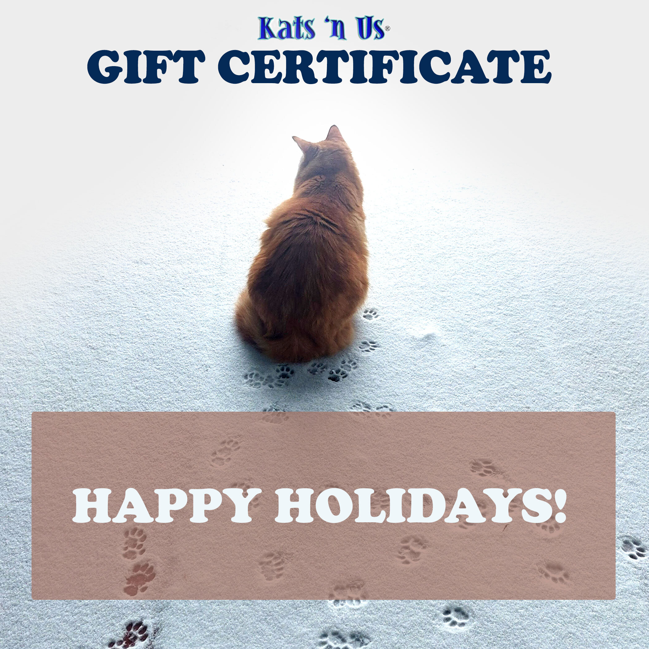 Holiday Cat