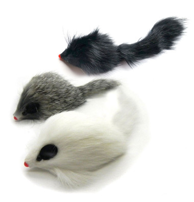 longhairmice__29063.1768869763