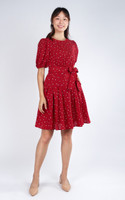 Alyson Balloon Sleeve Dress - Red
