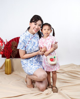 Lunar Porcelain Sleeved Cheongsam - Blue