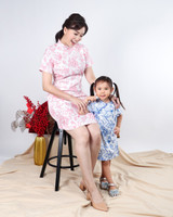 Lunar Porcelain Sleeved Cheongsam - Pink