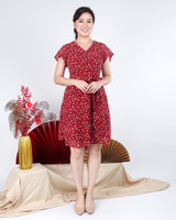 Mirage Printed Chiffon Dress - Red 