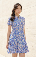 Poise Mandarin Collar Printed Dress - Blue