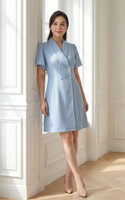 Daphne Chiffon Sleeve Button Dress - Blue
