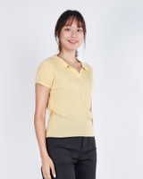 Amie Skipper Polo Knit Top - Yellow