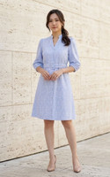 Hallie Pinstripe Embroidered Dress - Blue