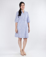 Hallie Pinstripe Embroidered Dress - Blue