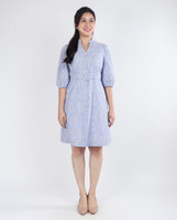 Hallie Pinstripe Embroidered Dress - Blue