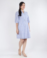 Hallie Pinstripe Embroidered Dress - Blue