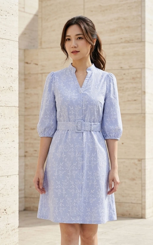 Hallie Pinstripe Embroidered Dress - Blue