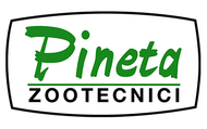 Pineta