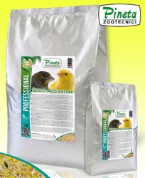 Secco Allevatori 20 Kg