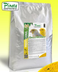 Giallo  Morbido Melato  5 lb