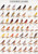 Color Bred Canaries 1 27 x 38 1/2